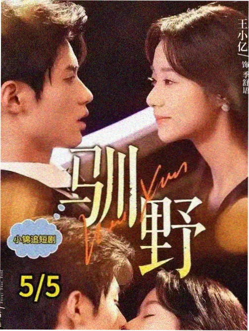 母亲的第二封家书 剧照封面